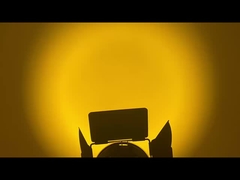 WW CW LED-Fresnel-Spotlicht